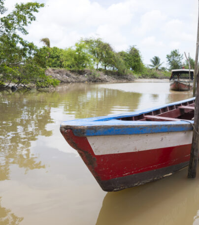 Traditional wooden fishing boat, Surinam River, Suriname