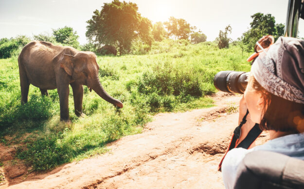 woman photographing elephant through jeep window