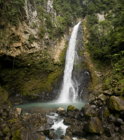 Victoria Waterfall hidden in the forest in Dominica, West Indies.